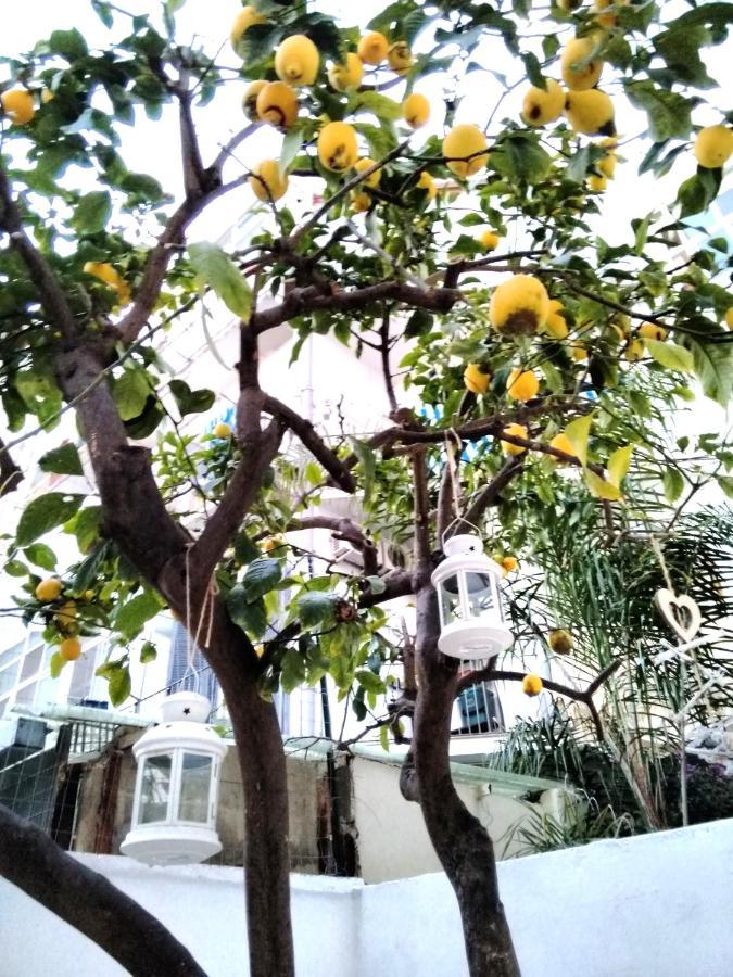 Willkommen In Einem Private Garden باري المظهر الخارجي الصورة