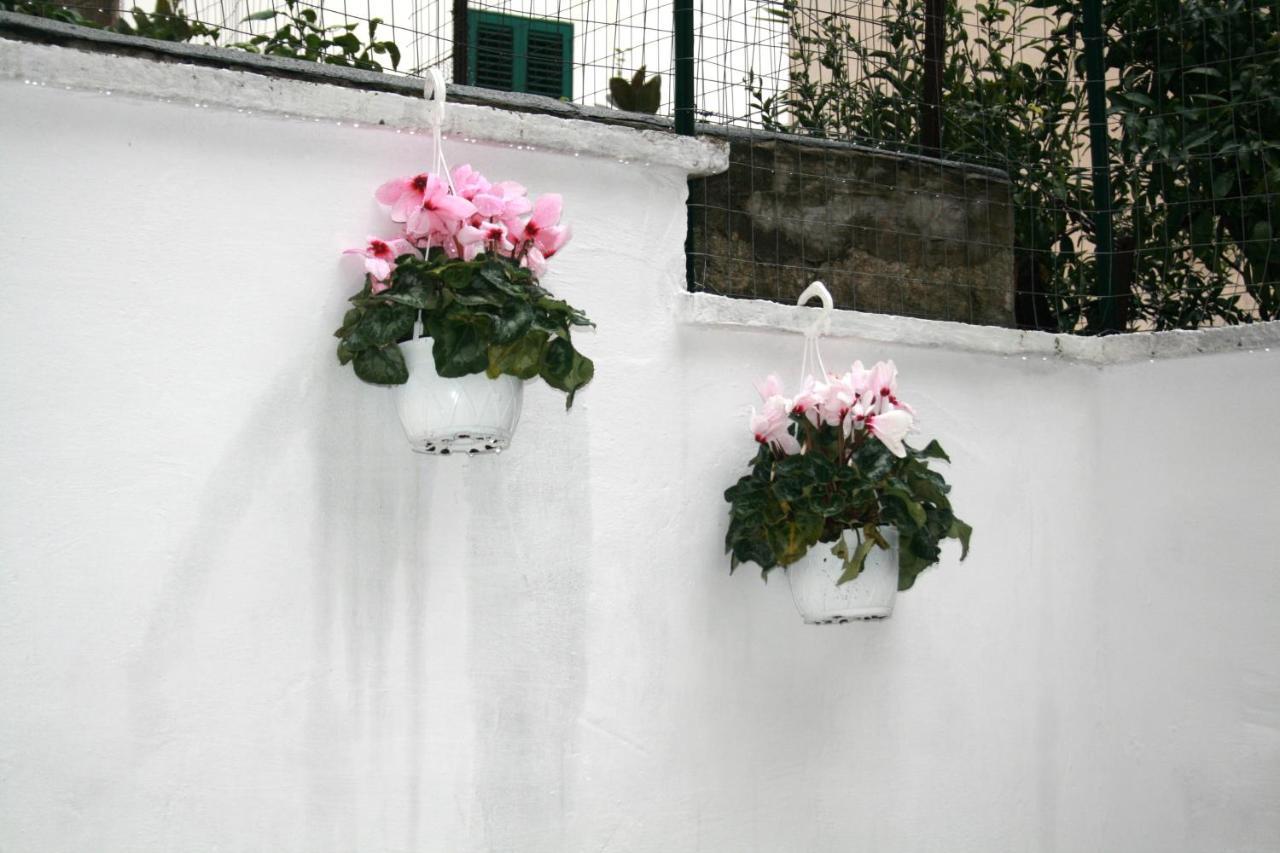 Willkommen In Einem Private Garden باري المظهر الخارجي الصورة