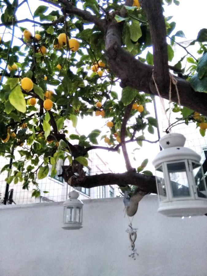 Willkommen In Einem Private Garden باري المظهر الخارجي الصورة
